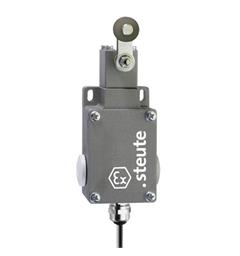Ex Position switch ExM 61 D 3m IP65 (1CO) II 2G Ex de IIC T6